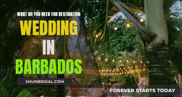 Barbados Destination Wedding: What You Need to Know