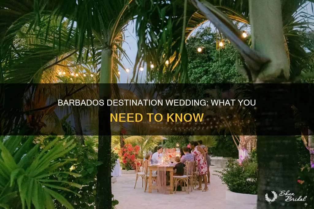 what do you need for destination wedding in barbados