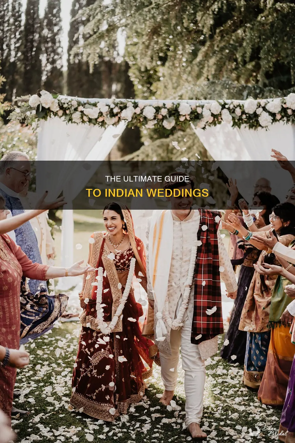 what do you need to know about india wedding