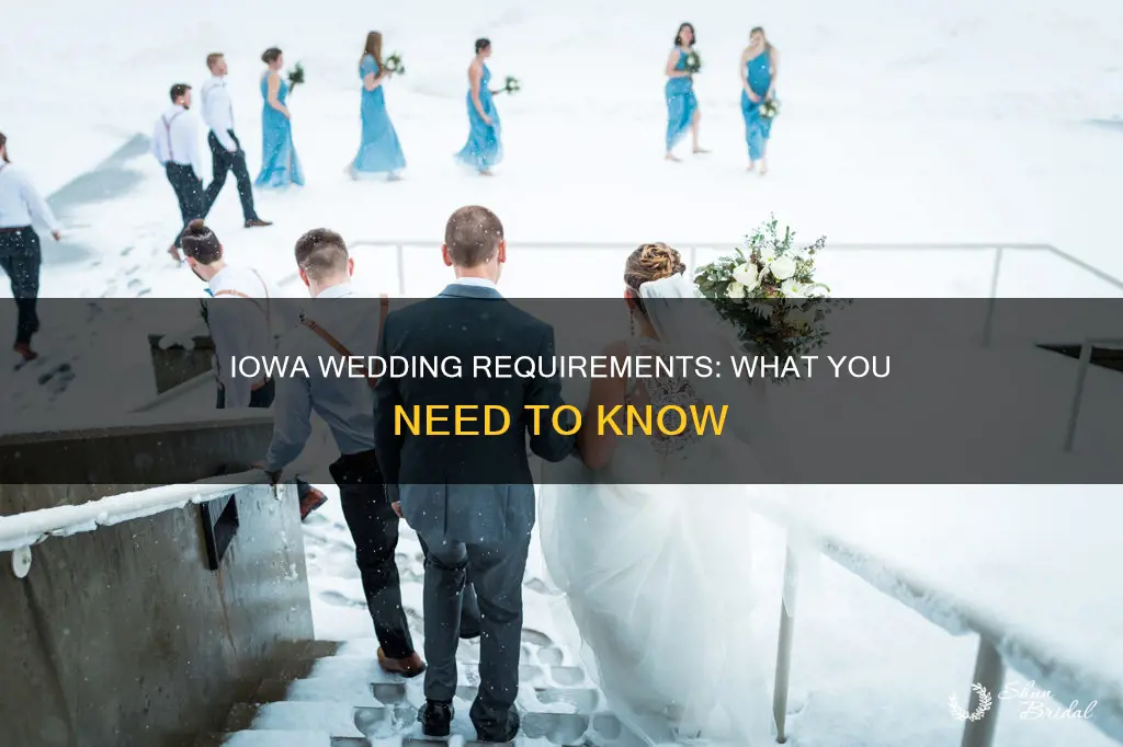 what do you need to perform a wedding in iowa
