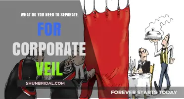 Separating Fact from Fiction: Piercing the Corporate Veil Explained