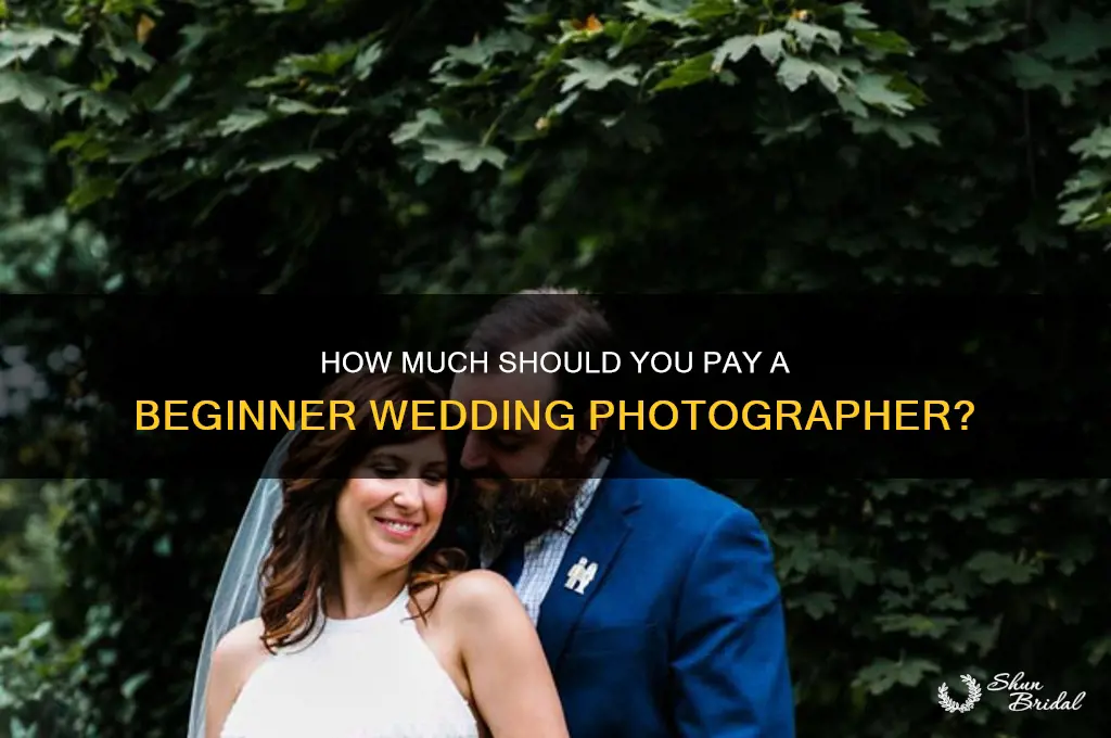 what do you pay a beginning photographer for a wedding