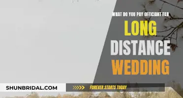 Officiating Long-Distance Weddings: How Much to Pay?
