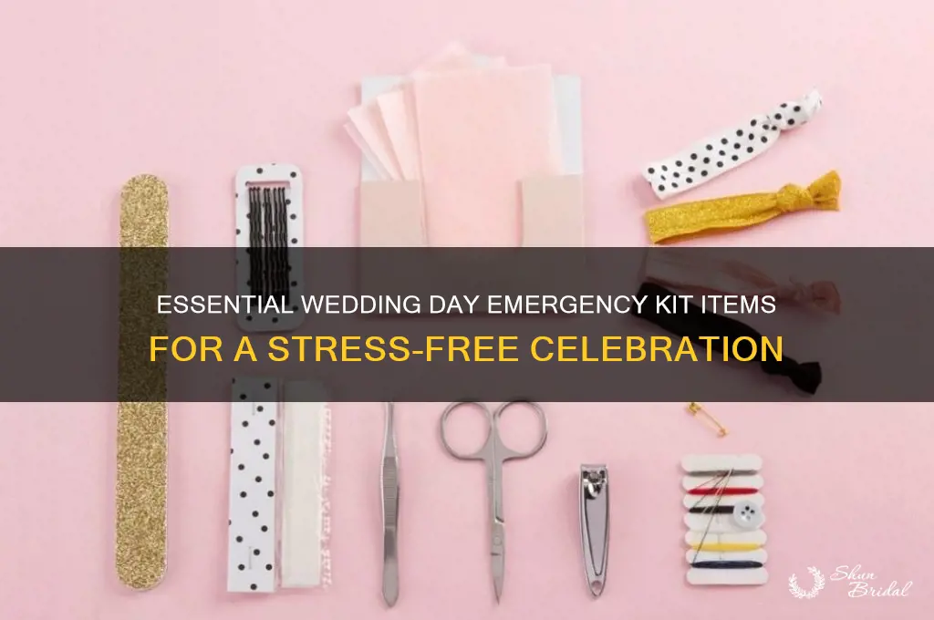 what do you put in a wedding day emergency kit
