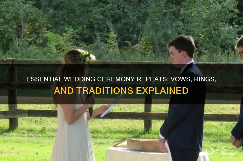 what do you repeat in wedding ceremony