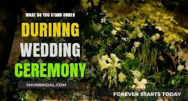 Understanding the Symbolic Canopy in Wedding Ceremonies: What It Represents