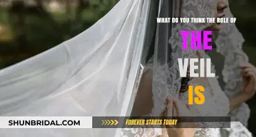 The Veil's Role: Symbolism, Modesty, or Cultural Identity?