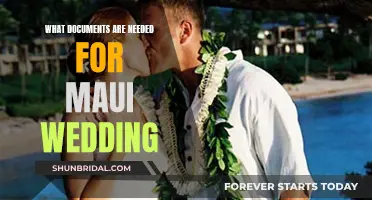 Documents Required for a Maui Wedding: All You Need to Know