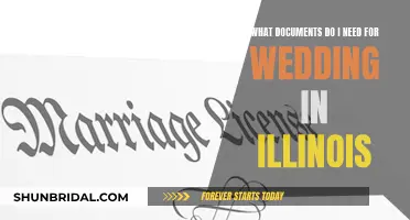 Documents Required for a Wedding in Illinois