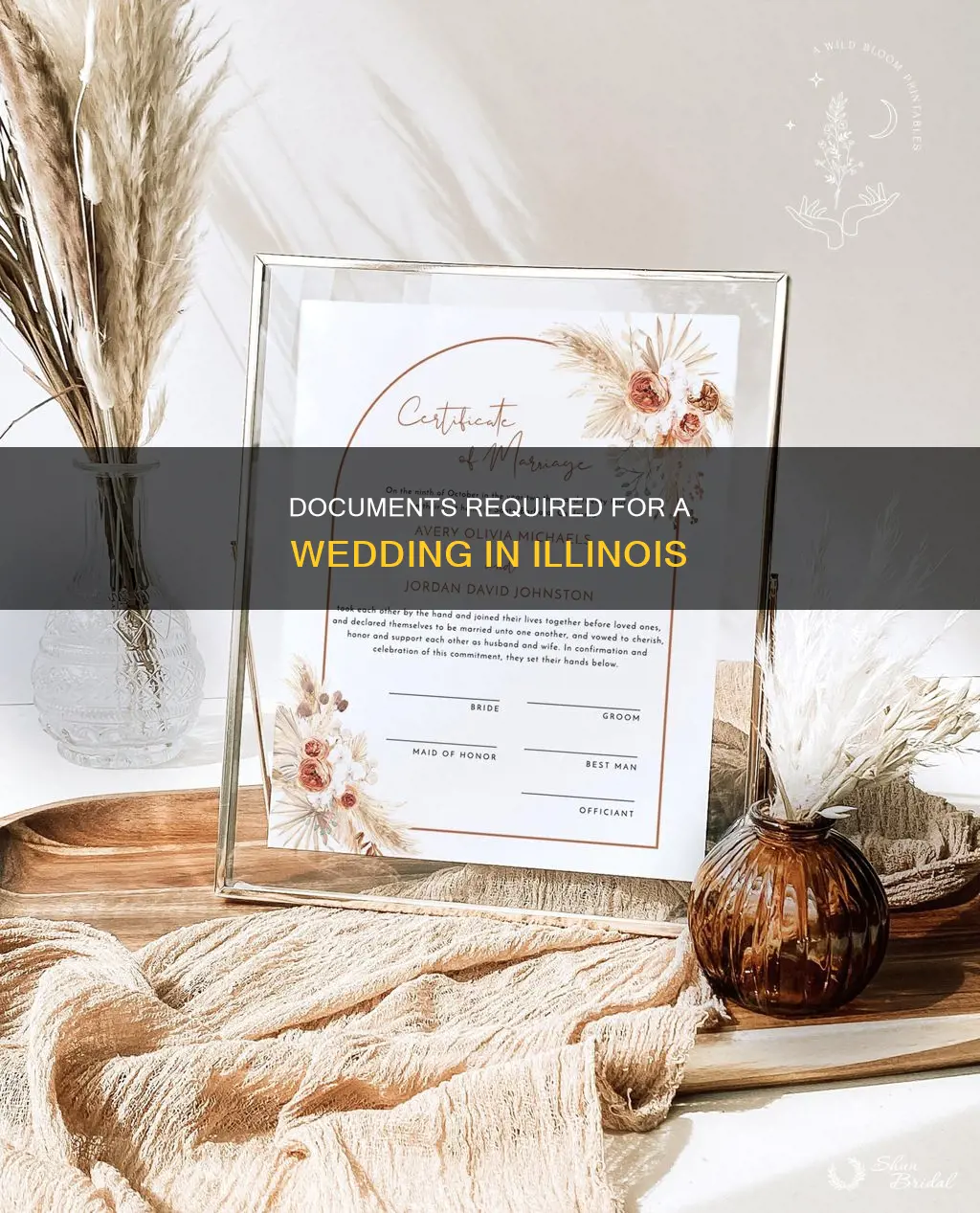 what documents do I need for wedding in Illinois