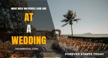 Visualizing Wedding Guest Dynamics: What 100 Attendees Really Look Like