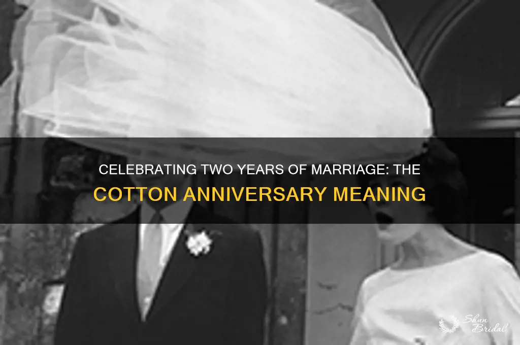 what does 2 year wedding anniversary mean