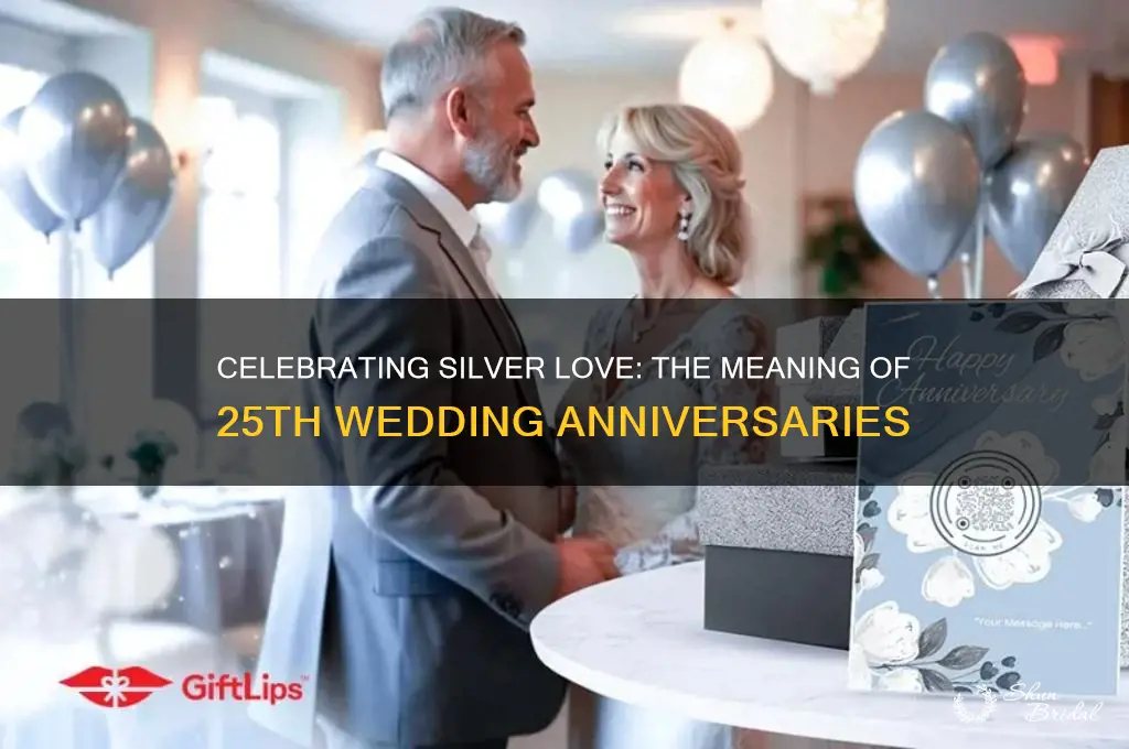 what does 25th wedding anniversary mean
