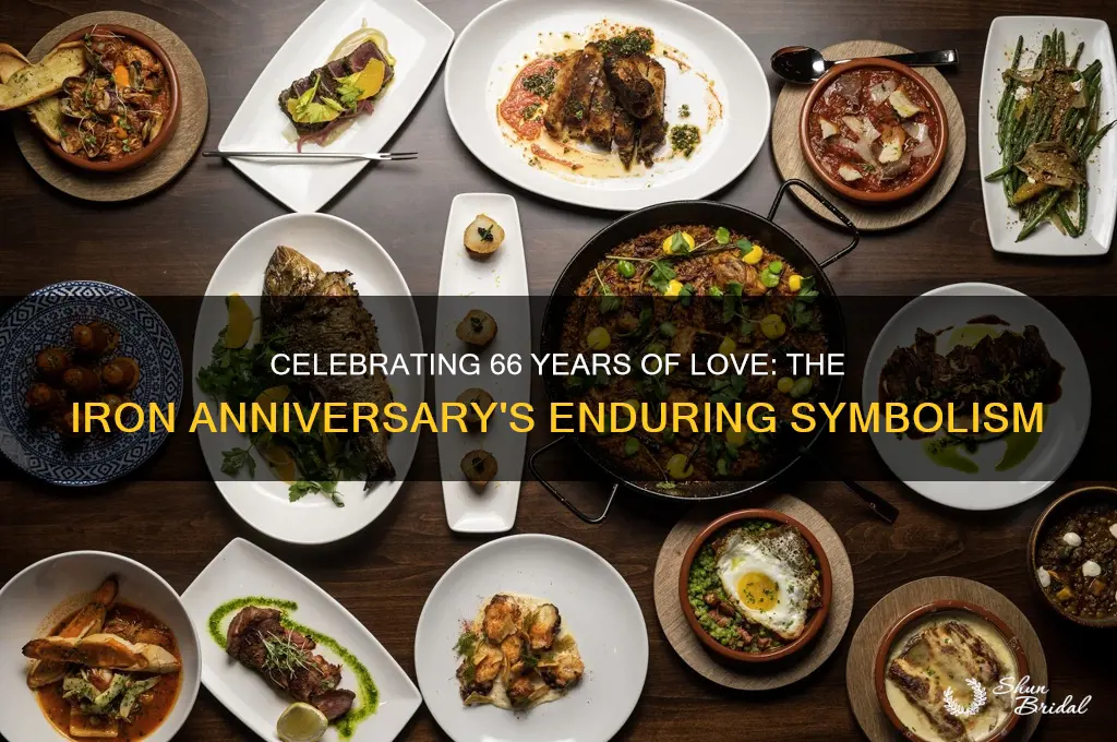 what does 66 year wedding anniversary represent