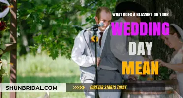 Blizzard on Your Wedding Day: Unveiling the Symbolic Meaning and Significance