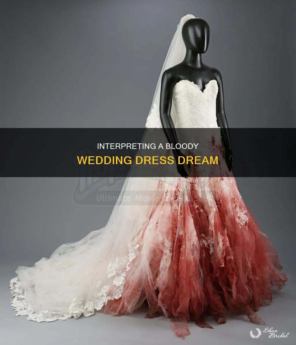 what does a bloody wedding dress mean in a dream