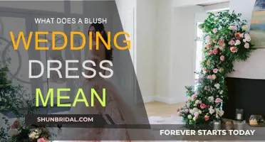 The Blush Wedding Dress: What Does It Symbolize?