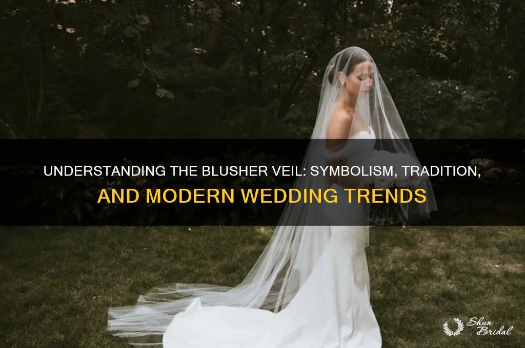 what does a blusher veil mean