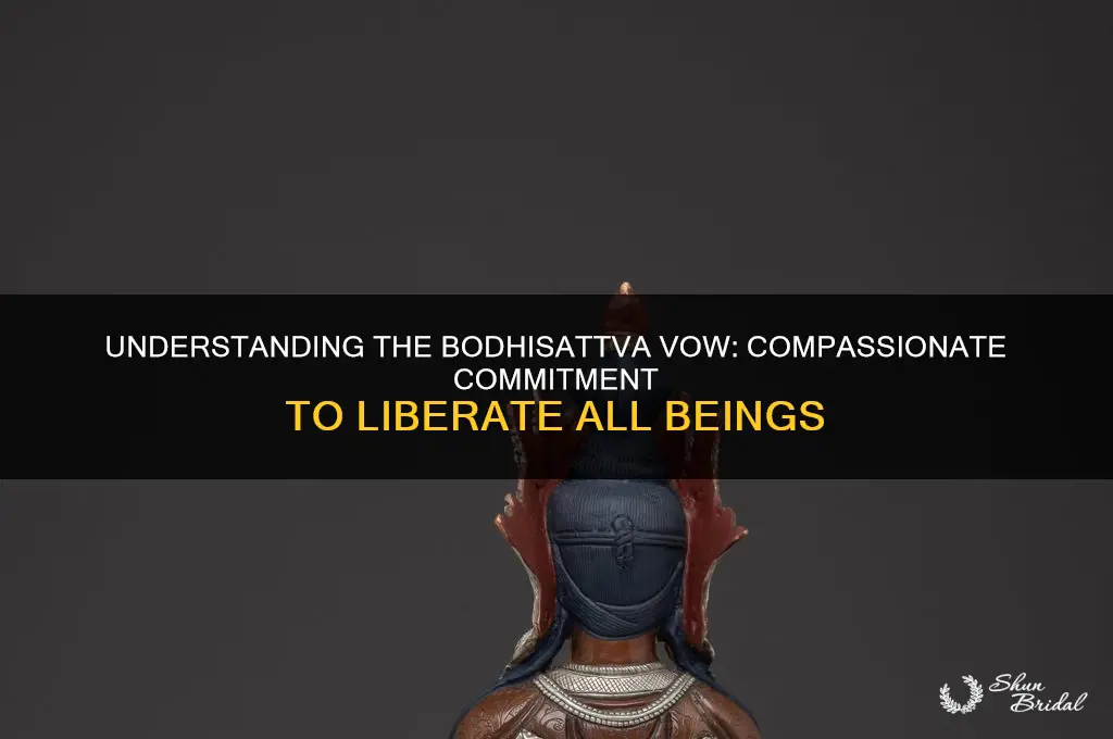 what does a bodhisattva vow to do
