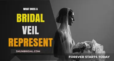 Unveiling Traditions: The Symbolic Meaning Behind a Bridal Veil