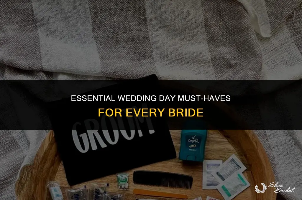 what does a bride need on her wedding day