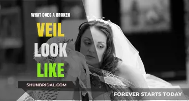 Unveiling the Mystery: Visualizing a Broken Veil's Appearance