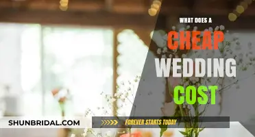 Budget-Friendly Wedding Bliss: Unveiling the Cost of Affordable Celebrations