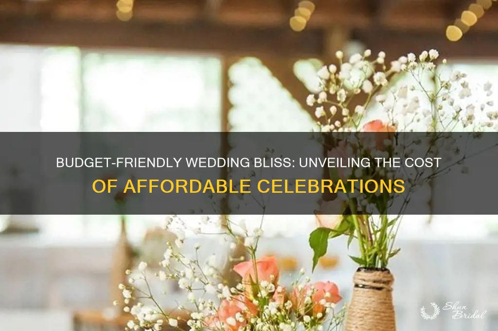 what does a cheap wedding cost