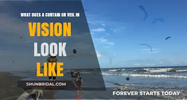 Understanding the Visual Phenomenon of Curtain or Veil in Vision
