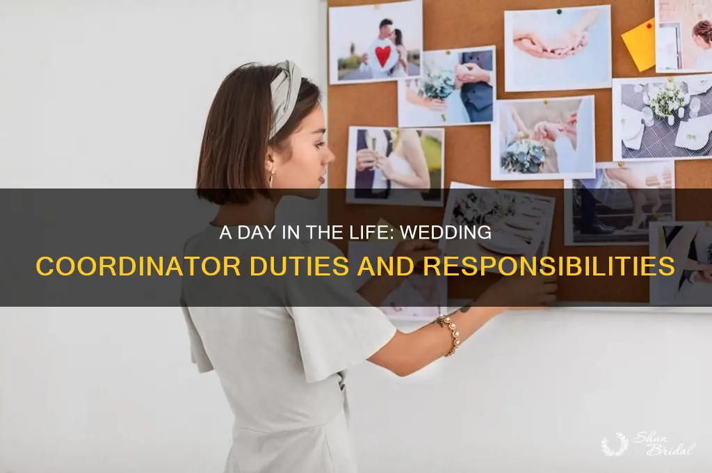 what does a day of wedding coordnator do