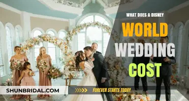 Disney World Wedding Costs: A Magical Budget Breakdown