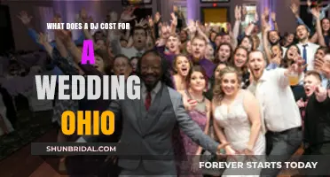 Ohio Wedding DJ Costs: What to Expect for Your Big Day
