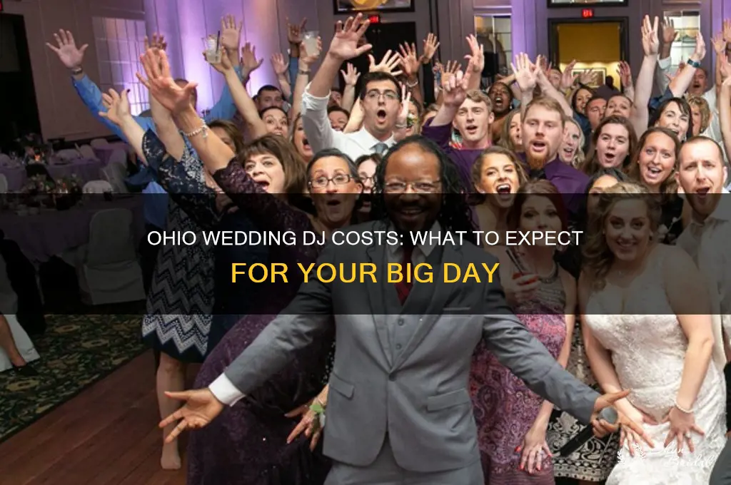 what does a dj cost for a wedding ohio