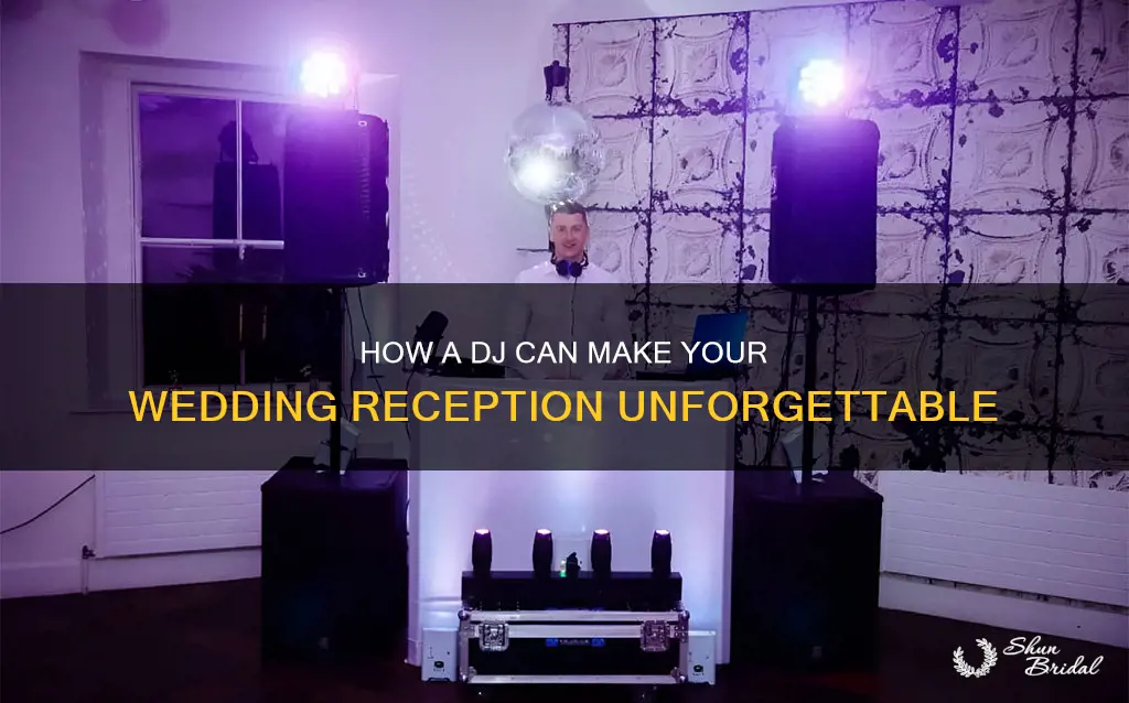 what does a dj do at a wedding reception