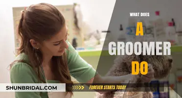 Understanding the Role of a Groomer: A Comprehensive Guide