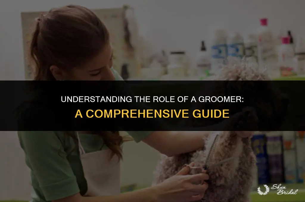 what does a groomer do