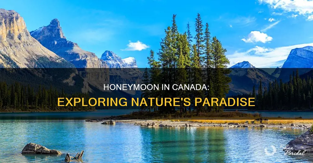 what does a honeymoon in canada look like