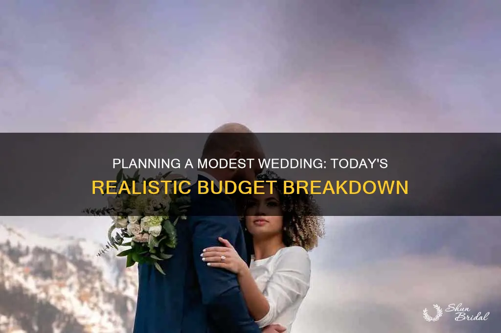 what does a modest wedding cost these days