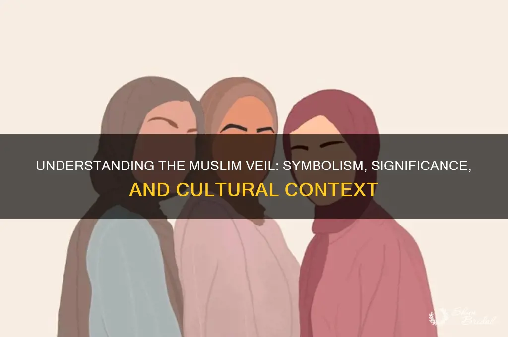 what does a muslim veil symbolize
