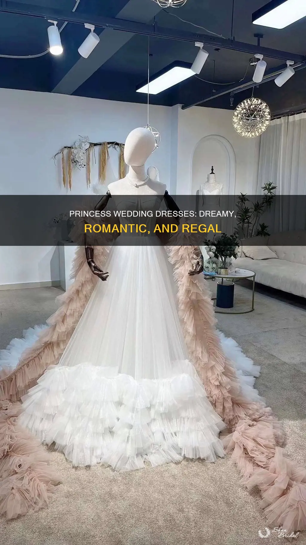 what does a princess wedding dress look like