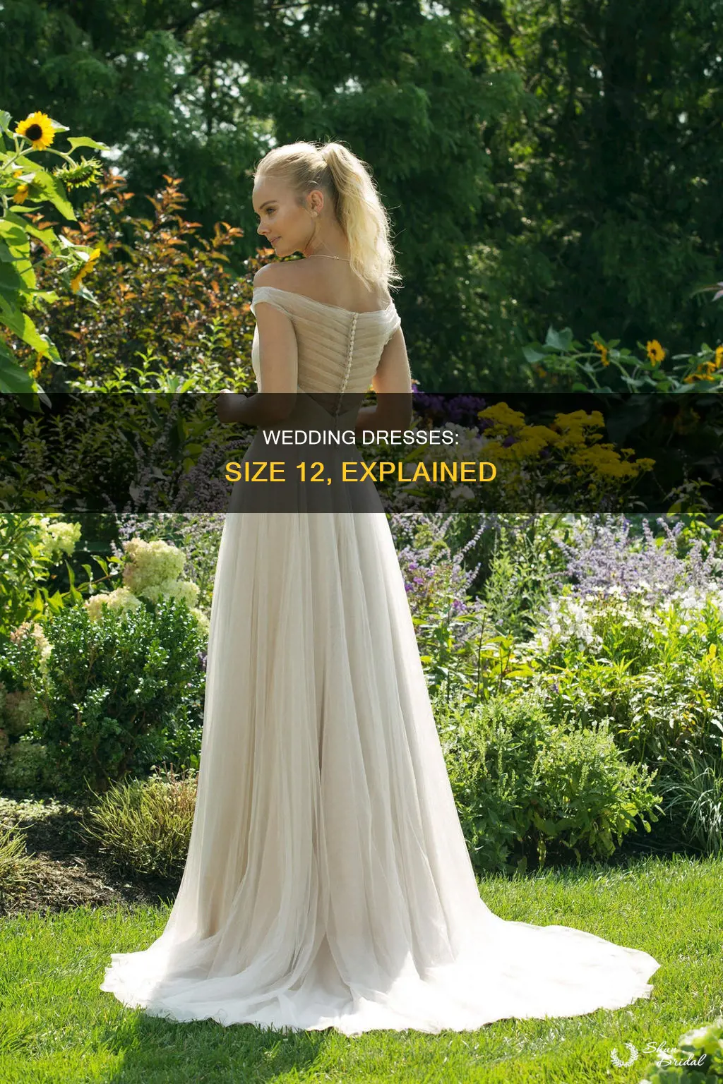 what does a size 12 look like in wedding dress