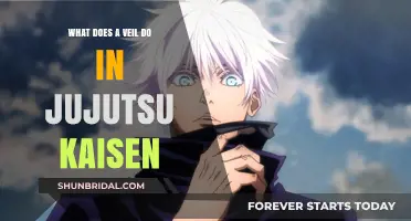 Unveiling the Power: Jujutsu Kaisen's Veil Explained