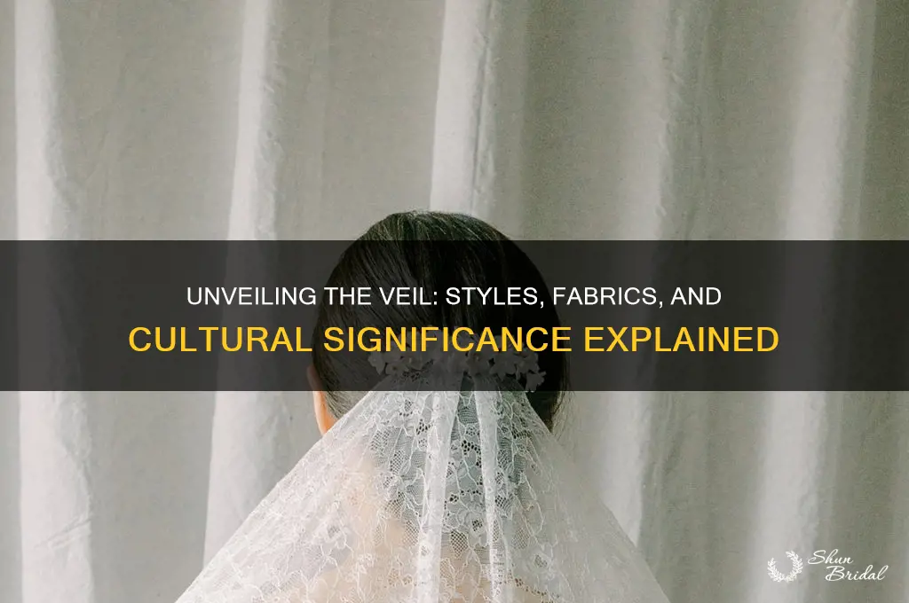 what does a veil look like