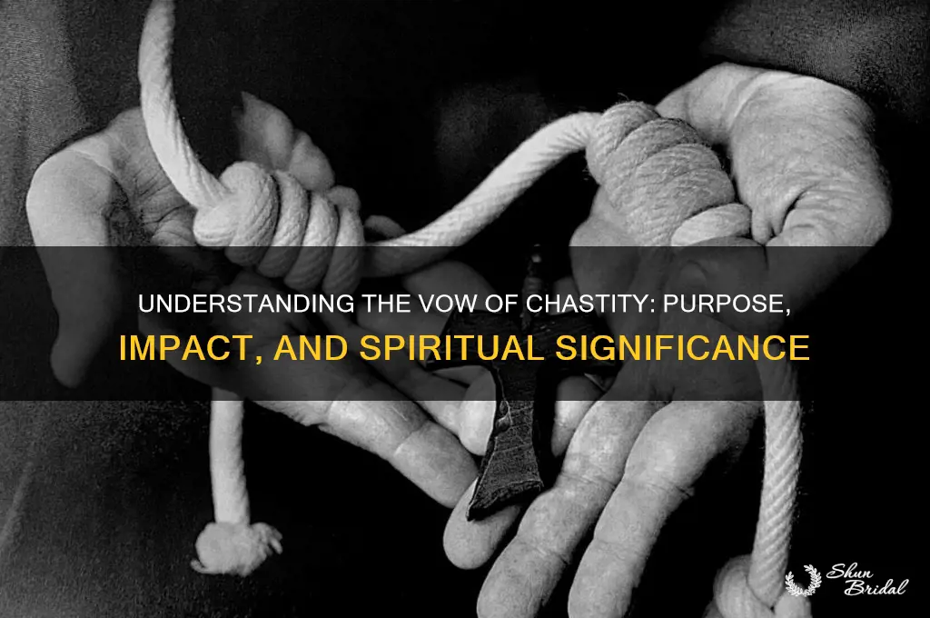 what does a vow of chastity do