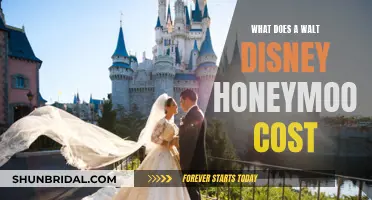 The Ultimate Guide to Planning Your Disney Honeymoon: Costs and Tips