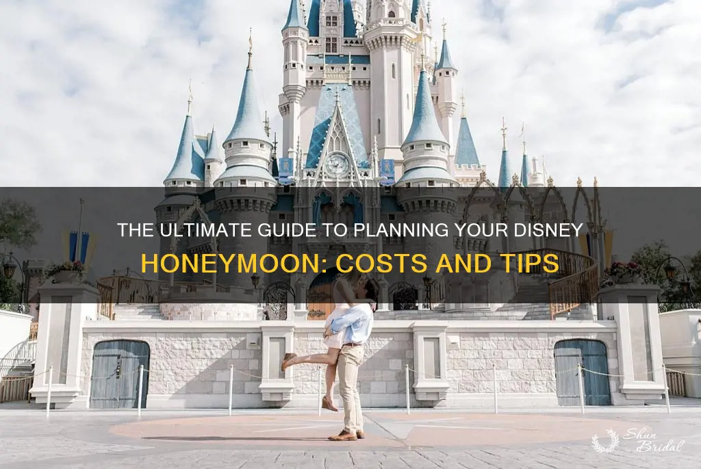 what does a walt disney honeymoon cost