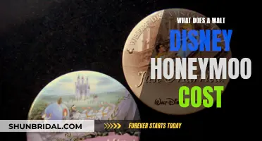 Honeymoon at Disney: How Much Does It Cost?