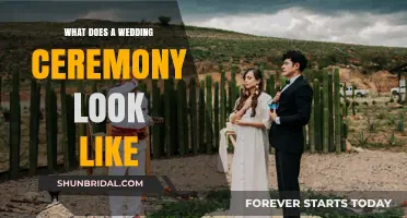 Exploring the Traditions and Beauty of a Wedding Ceremony