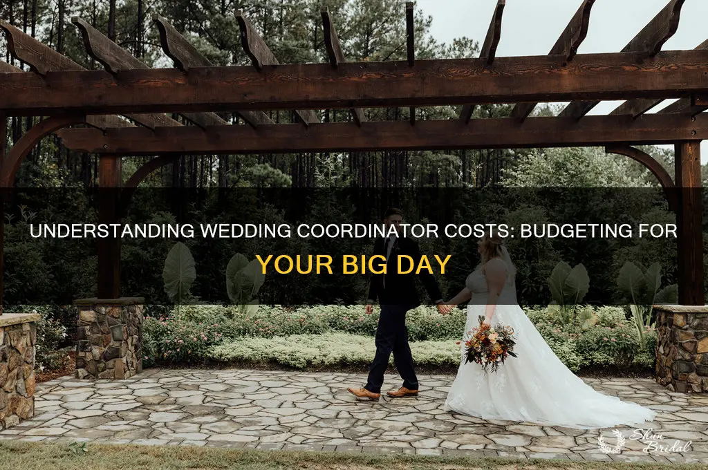 what does a wedding coordinator cost
