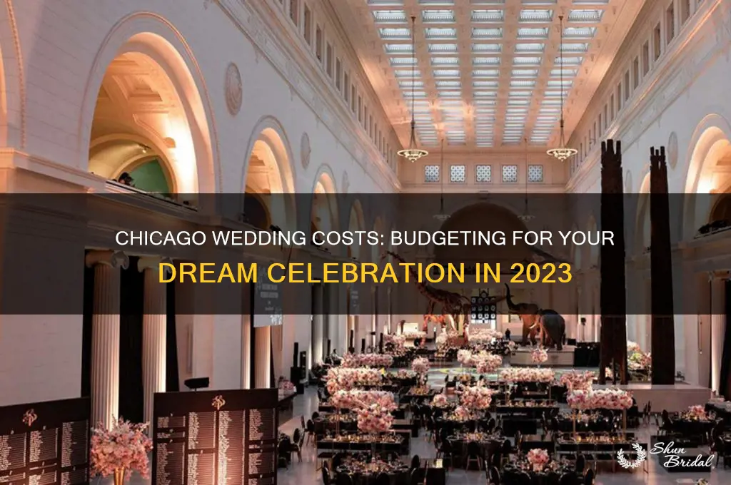 what does a wedding cost in Chicago